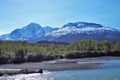 Alaskan landscape with river and snow capped mountains and trees Royalty Free Stock Photo