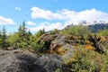 Alaskan landscape with trees and snow capped mountain