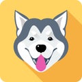 Alaskan Malamute dog icon flat design Royalty Free Stock Photo