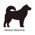 Alaskan Malamute dog silhouette, side view, vector illustration Royalty Free Stock Photo