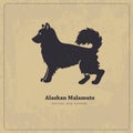 Alaskan Malamute dog silhouette Royalty Free Stock Photo