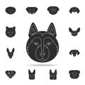 Alaskan Malamute face icon. Detailed set of dog silhouette icons. Premium graphic design. One of the collection icons for websites Royalty Free Stock Photo