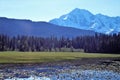 Alaskan meadow with lake and snow capped mountains and trees Royalty Free Stock Photo