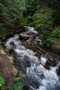 Alaskan Mountain stream