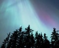 Alaskan Northern Lights Royalty Free Stock Photo