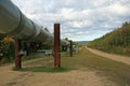 Alaskan Pipeline Royalty Free Stock Photo