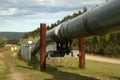 Alaskan Pipeline Royalty Free Stock Photo