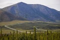 Alaskan pipelineand haul road