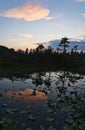 Alaskan pond at sunset Royalty Free Stock Photo