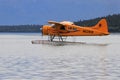 Alaskan Pontoon Plane