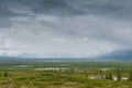 Alaskan rain Royalty Free Stock Photo