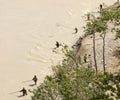 Alaskan residents dipping for salmon at chitina