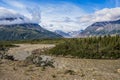 Alaskan summer landscape