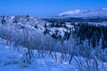 Winter twilight Alaska landscape