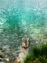 Alatsee in Summer Royalty Free Stock Photo