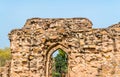 Alauddin Khilji Tomb and Madrasa at the Qutb Complex in Delhi, India Royalty Free Stock Photo