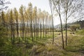 Alba church and Piemonte vineyards and hills in spring, Italy Royalty Free Stock Photo