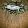 Albacore on wooden background