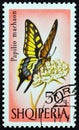 ALBANIA - CIRCA 1966: A stamp printed in Albania shows Swallowtail Papilio machaon butterfly, circa 1966.