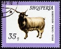 ALBANIA - CIRCA 1966: A stamp printed in Albania from the `Domestic Animals` issue shows Wild Goat Capra aegagrus, circa 1966.