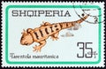 ALBANIA - CIRCA 1966: A stamp printed in Albania from the `Reptiles` issue shows Salamander Tarentola mauritanica, circa 1966. Royalty Free Stock Photo