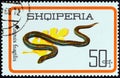 ALBANIA - CIRCA 1966: A stamp printed in Albania from the `Reptiles` issue shows Slow worm Anguis fragilis, circa 1966.