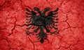 Republic of Albania flag