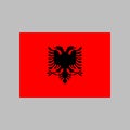 Albania flag vector illustration in high quality for ui and ux, website or mobile application Royalty Free Stock Photo