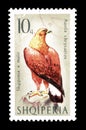Albania on postage stamps