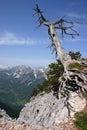 Albanian Alps Royalty Free Stock Photo