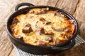 Albanian Baked Lamb and Rice with Yogurt Tave Kosi close-up in a pan. horizontal