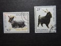 Albanian postage stamps with goats