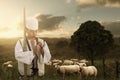 Albanian shepherd playing flute in front of meadow and herd of sheep in the evening sunshine Royalty Free Stock Photo