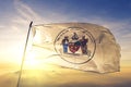 Albany of New York of United States flag waving on the top Royalty Free Stock Photo
