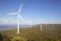 Albany Wind Farm Royalty Free Stock Photo