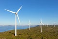 Albany Wind Farm Royalty Free Stock Photo