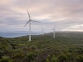 Albany wind farm, Western Australia