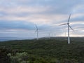 Albany wind farm, Western Australia