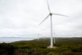 Albany Wind Turbines Royalty Free Stock Photo