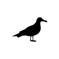 gull silhouette, albatross bird logo Royalty Free Stock Photo