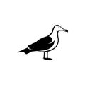 gull silhouette, albatross bird logo Royalty Free Stock Photo