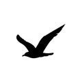 gull silhouette, albatross bird logo Royalty Free Stock Photo