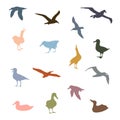 Albatross Bird Icon. Colorful Seagulls Vector Illustration Royalty Free Stock Photo