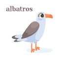 Albatross Bird with Large Beak as Animal of North Vector Illustration