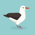 Albatross bird is sitting alone. Vector illustration.