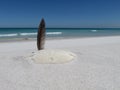 Albatross Feather and Starfish at Big Beach Praia Grande Royalty Free Stock Photo