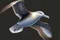 Laysan albatross (Diomedea immutabilis) in Japan, AI generated Royalty Free Stock Photo