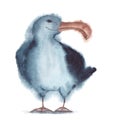 Albatross standing with head turned to the right, watercolor painting