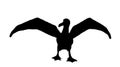 Albatross vector silhouette illustration isolated on white background. Spread wings seagull symbol. Marine big bird.