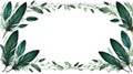 albedobase xl green feather themed border frame on white backg ai generated Royalty Free Stock Photo
